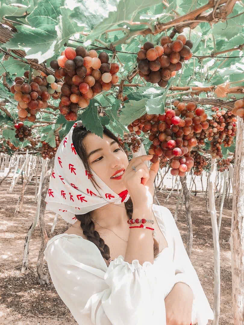 tour đảo bình hưng vườn nho đồng cừu